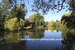 Spring, Queens Park Lake, Chesterfield town