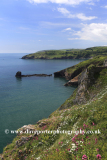Summer, wildflowers and cliffs at Durl Head, Torbay