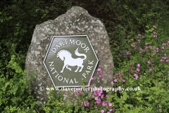 Dartmoor National Park boundary stone