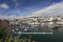 Summer, fishing boats in Brixham harbour