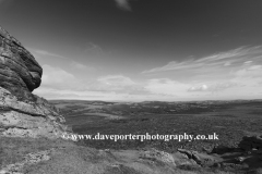 Summer, Haytor Down, Haytor Rocks, Dartmoor