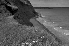 Ironstone cliffs at Orcombe Point, Jurassic coast