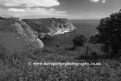 Flowers and cliffs, Berry Head, Nature Reserve, Torbay