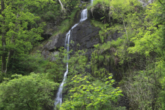 Canonteign Waterfalls, Chudleigh, Dartmoor