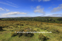 Challacombe Down and surrounding Moors