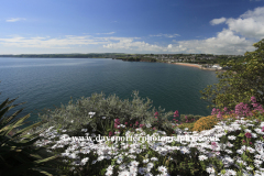 The sweeping Goodrington Sands beach, Torbay