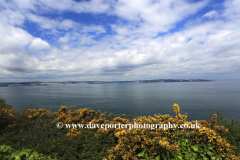 Flowers and cliffs, Berry Head, Nature Reserve, Torbay