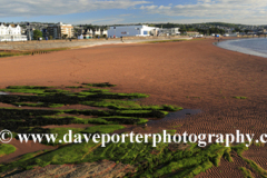 Summer, Paignton beach, Torbay, English Riviera
