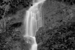 Canonteign Waterfalls, Chudleigh, Dartmoor