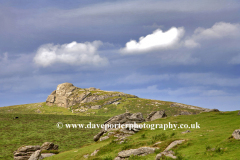 View to Bonehill Down Dartmoor National Park