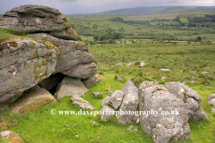 View to Bonehill Down Dartmoor National Park