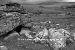 View to Bonehill Down Dartmoor National Park