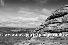 Summer, Haytor Down, Haytor Rocks, Dartmoor