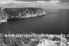 Flowers and cliffs, Berry Head, Nature Reserve, Torbay
