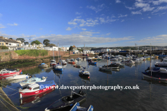 Fishing boats in Paignton harbour, Torbay