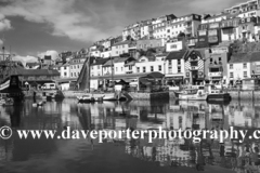 Summer, fishing boats in Brixham harbour