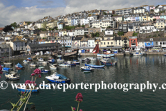 Summer, fishing boats in Brixham harbour