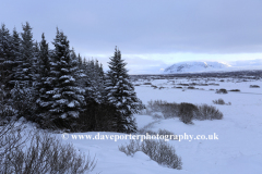 Winter snowy view over Pingvellir National Park