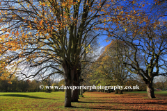 Autumn, Play Close Park, Melton Mowbray