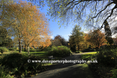 Autumn trees in Castle Gardens, Leicester