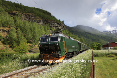 A train on the Flam Railway near Flam town