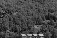 Row of houses at Flam town, Aurlandsfjorden Fjord