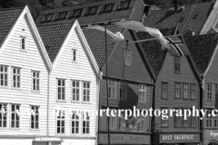 Wooden Hanseatic buildings at the Bryggen, Bergen