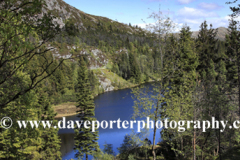 Blamansvatnet Lake on Mount Floyen, Bergen