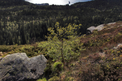 Footpath trail on Mount Floyen, Byfjorden water, Bergen