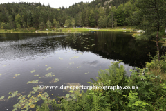 View of Skomakerdiket Lake, Mount Floyen, Bergen
