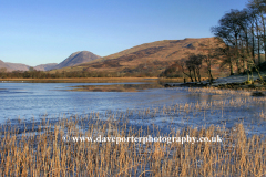 Winter frost on Loch Awe