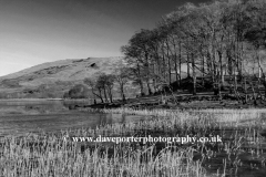Reflections in Loch Awe Argyll and Bute