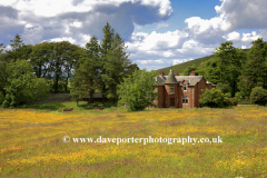Flower Meadow, Thankerton village, Tweeddale