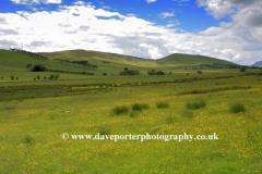 Landscape near Broughton Village,  Tweeddale
