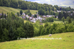 Summer Landscape view of Moffat Town