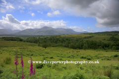 The Ben Nevis mountain range from Spean Bridge