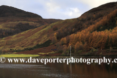 Autumn colours, Loch Lochy at Laggan locks