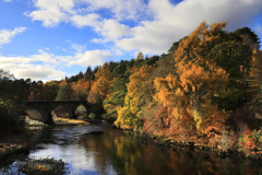 Autumn colours, the Bridge of Oich