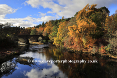 Autumn colours, the Bridge of Oich