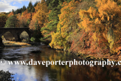 Autumn colours, the Bridge of Oich