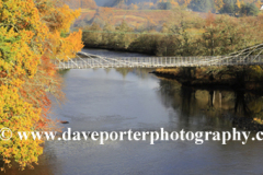 Autumn colours, the Bridge of Oich