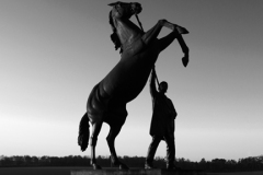 Sunrise over the Newmarket Stallion statue
