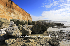 7 Sisters Limestone Cliffs; Seaford Head