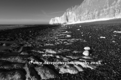 Castle Hill Beach and Chalk Cliffs, Newhaven town