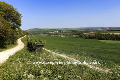 Summertime, South Downs near Amberley town