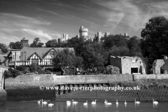 Swans on the river Arun, Arundel Castle