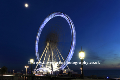 Ferris Wheel ride next to Brighton Palace Pier