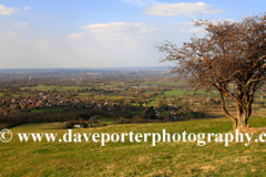 View to Hassocks town from the Ditchling Beacon