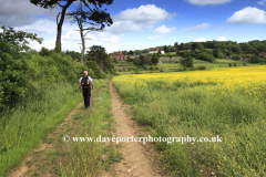 Walker on South Downs Way footpath, Slindon village