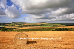 Harvest Straw Bales, river Adur valley, Lancing village